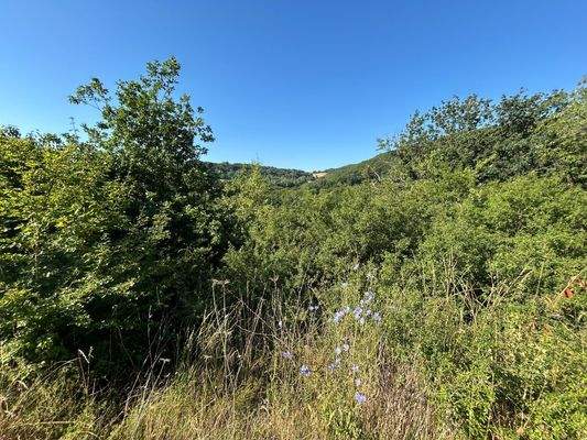 Grundstück Ansicht 1