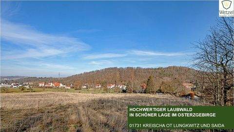 Kreischa Bauernhöfe, Landwirtschaft, Kreischa Forstwirtschaft