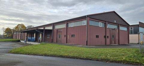 Hohberg Halle, Hohberg Hallenfläche