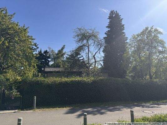 Blick von der Straße zu den Grundstücken 