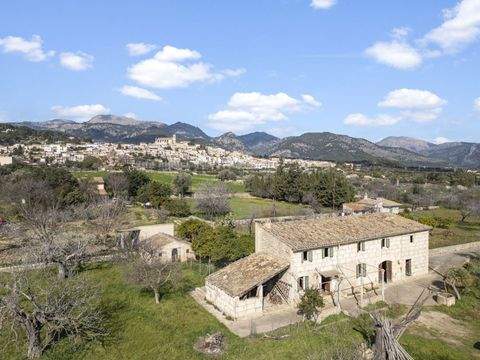 Selva Häuser, Selva Haus kaufen