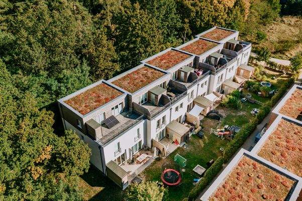 Außenansicht der Reihenhäuser mit begrünten Dächern 