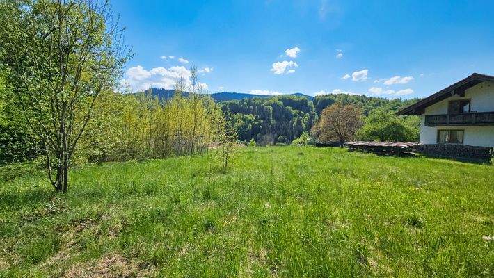 Grundstück Richtung Süden