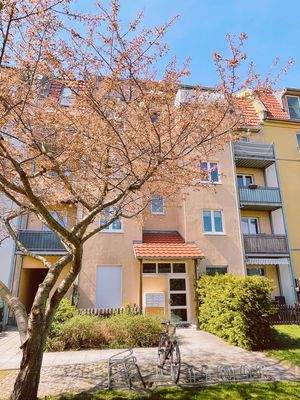 A2BDEB54-0DD4-4A6E-9622-29511718168E