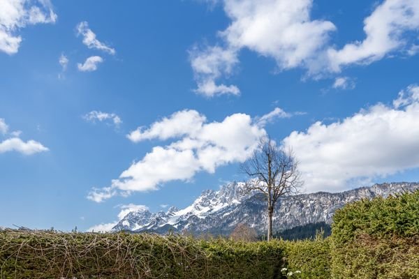 KAISERBLICK VOM GARTEN