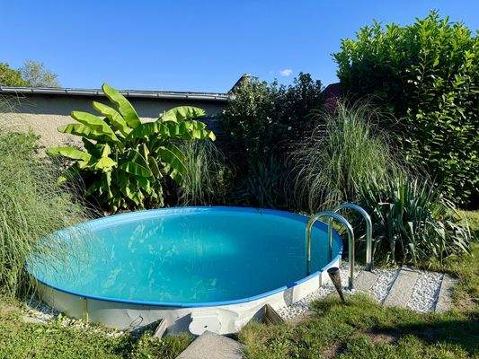 Pool - Sommer | August 2025