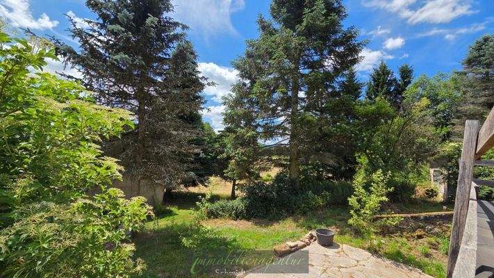 Blick Richtung Allenbacher Weiher