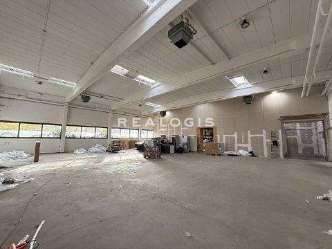 Reinbek Halle, Reinbek Hallenfläche