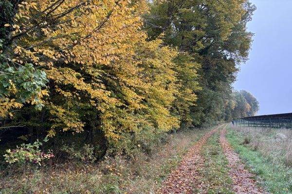 Weg von Westen nach Osten