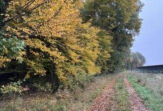 Weg von Westen nach Osten