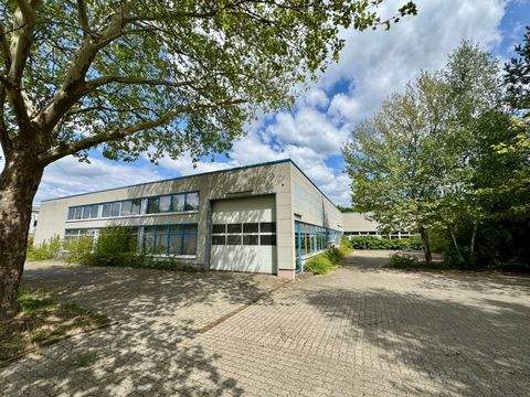 Luckenwalde Halle, Luckenwalde Hallenfläche