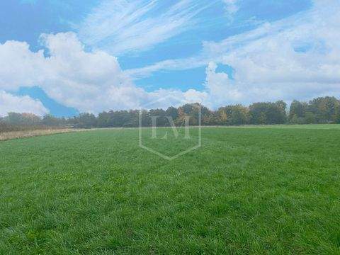 Meckenheim Bauernhöfe, Landwirtschaft, Meckenheim Forstwirtschaft