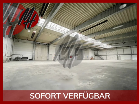 Messel Halle, Messel Hallenfläche