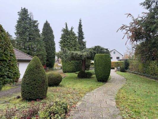 Garten Straßenseite