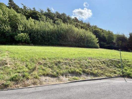 Blick von der Straße