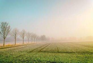 Ackerfläche Beispielbild