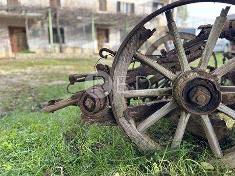 Buje Häuser, Buje Haus kaufen