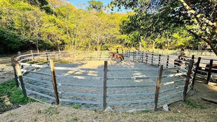 Round-Pen.JPG