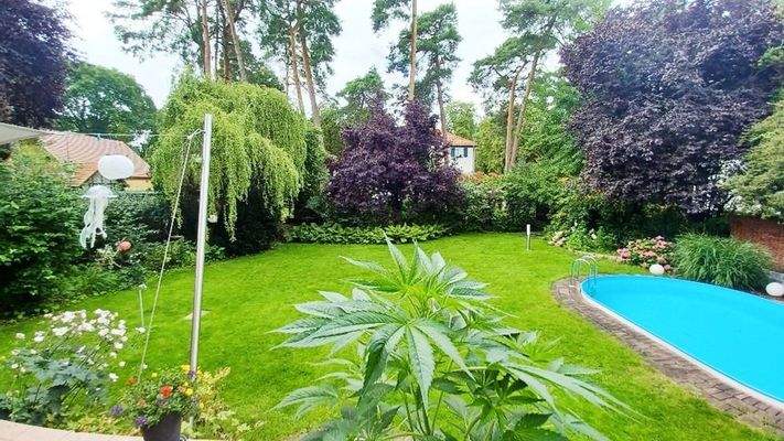 Garten mit Pool