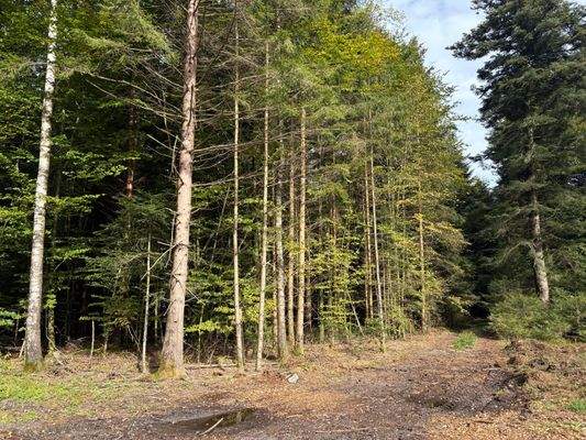 2025-10-08 14.59.01.jpg