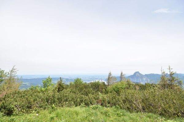 Ausblick - Gemütliches Chalet im Ski- und Wanderparadies FEUERKOGEL mit traumhaften Ausblick Kauf Ebensee Oberösterreich