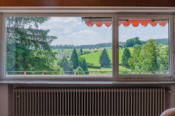Naturblick "Süden" vom Wohnzimmer