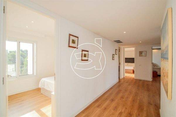 Hervorragendes Objekt