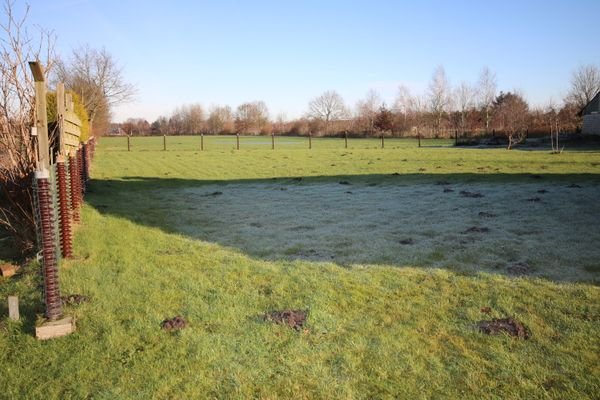Gartenansicht
