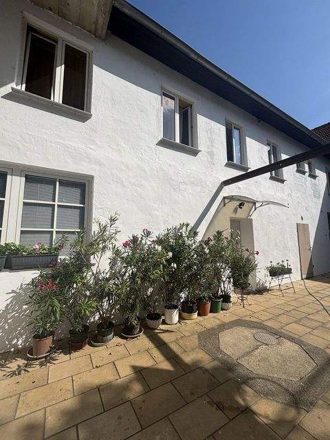 Drasenhofen Häuser, Drasenhofen Haus kaufen