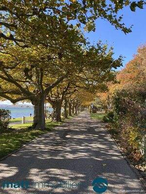 Herbststimmung am See