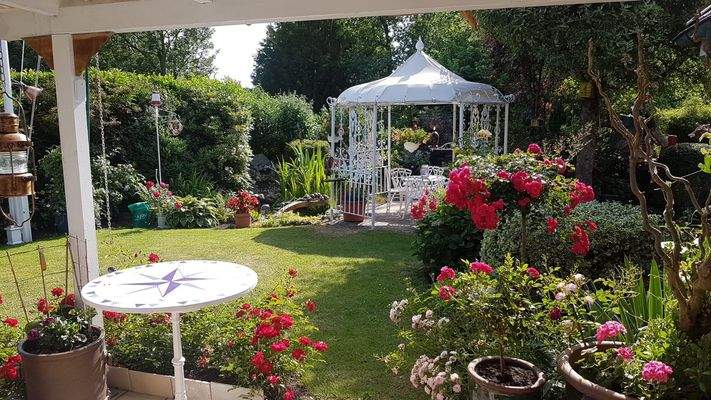 Impressionen aus dem Sommer