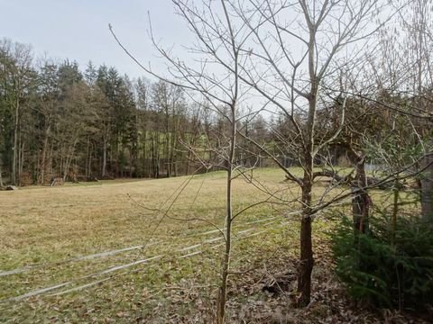 Lauf an der Pegnitz Grundstücke, Lauf an der Pegnitz Grundstück kaufen