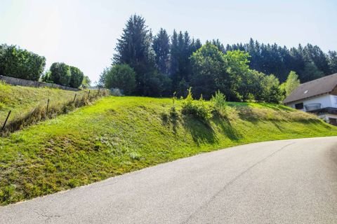 Alpirsbach Grundstücke, Alpirsbach Grundstück kaufen