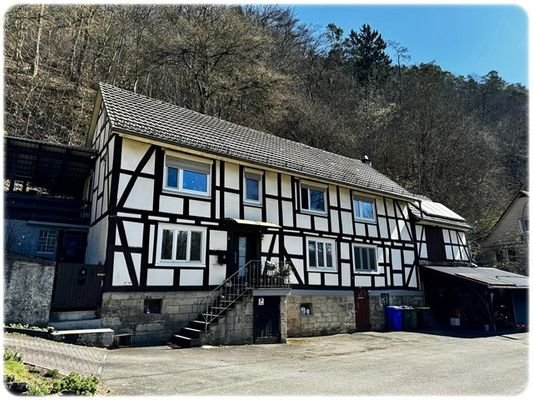Bild1