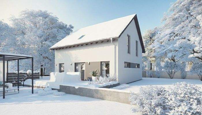 Design  Mark Freybott Okal 