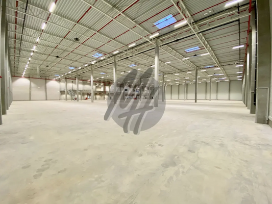 INFOS UNTER: 06171-586000