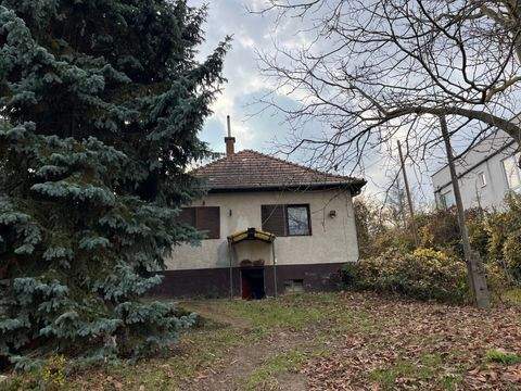 Budapest Wohnungen, Budapest Wohnung kaufen