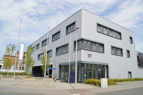 Freiberg Halle, Freiberg Hallenfläche