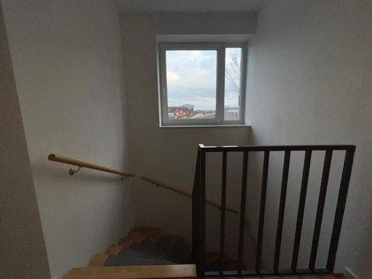 WhatsApp Image 2023-11-07 at 14.38.50(1)