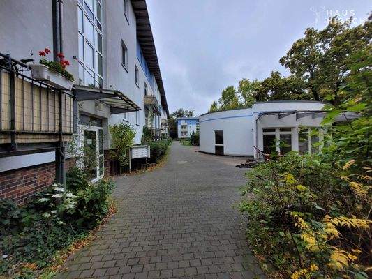 20251007_120400_resized