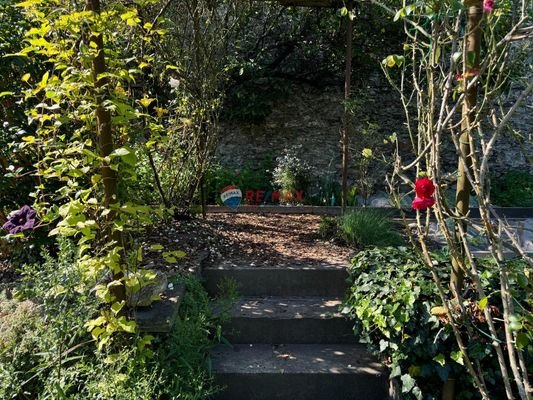 Gartenrückseite