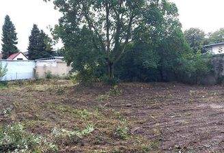 Ansicht gesamtes Grundstück