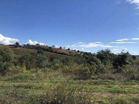 Maremma Häuser, Maremma Haus kaufen