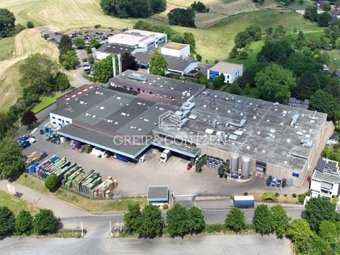 Leverkusen Halle, Leverkusen Hallenfläche