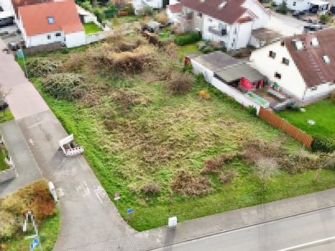 Lorsch Bauernhöfe, Landwirtschaft, Lorsch Forstwirtschaft