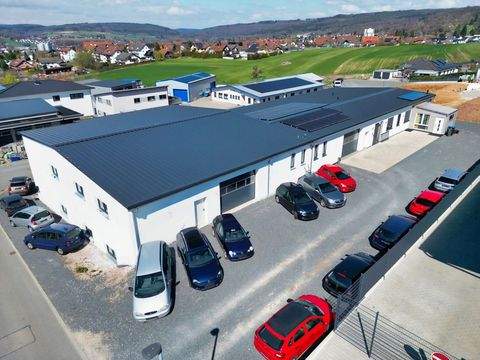 Erbach Halle, Erbach Hallenfläche