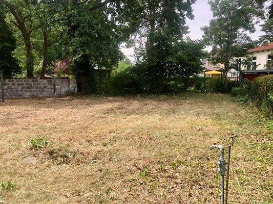 Grundstücksansicht von hinten