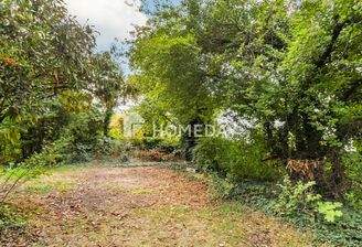 Garten 1
