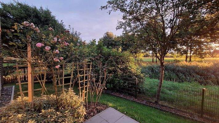 Impressionen - Garten