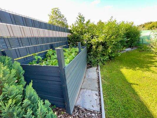 Platz für junges Gemüse